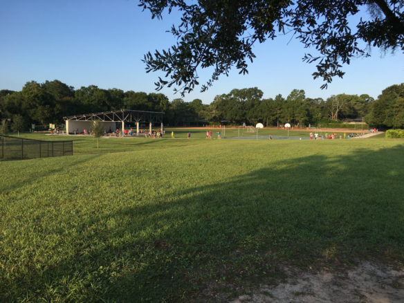 Dommerich Elementary Fields