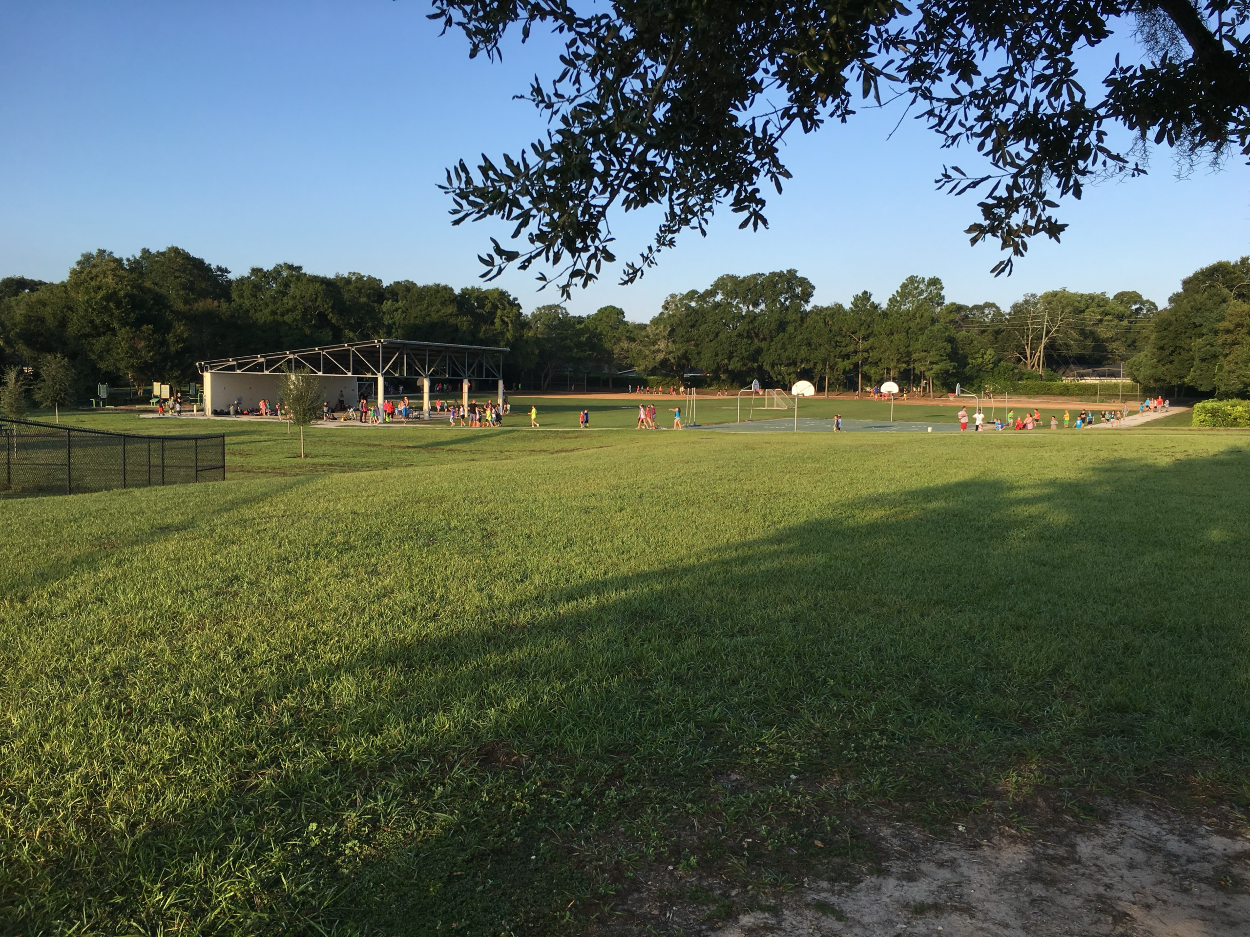 Dommerich Elementary Fields