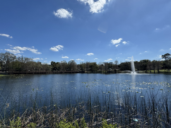 Lake Lily Park Fountain