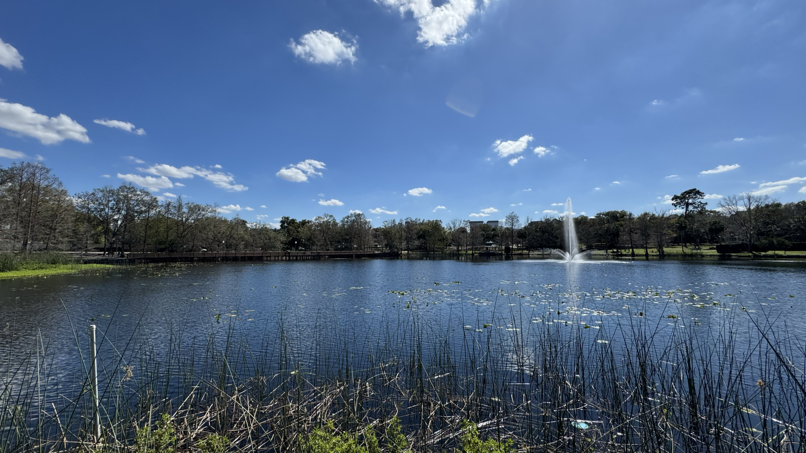 Lake Lily Park Fountain