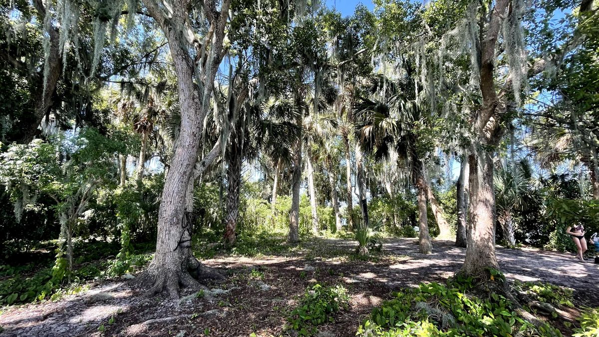 Dog Island on Lake Maitland, Winter Park Chain of Lakes