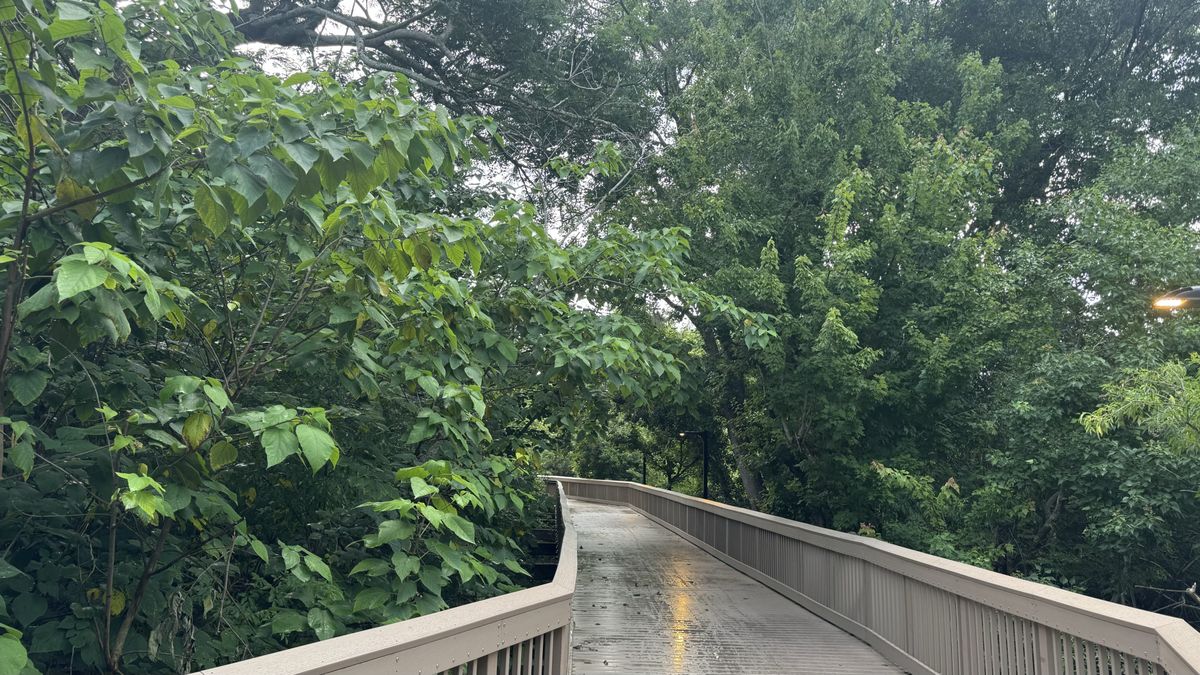 Boardwalk trail connecting Dommerich Estates to Maitland Community Park